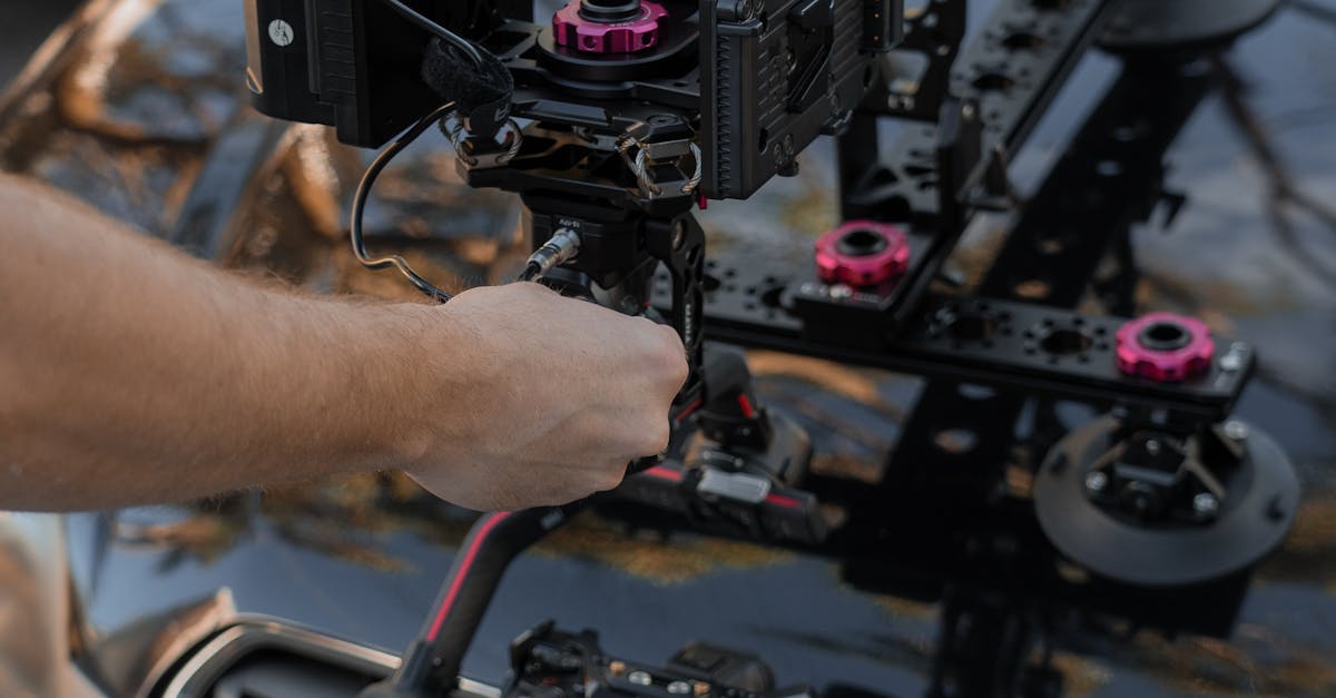 Seasonal Air Fresheners Perfect for Sydney’s Climate