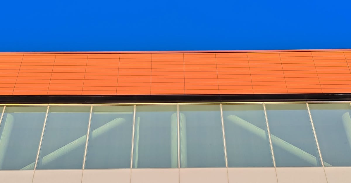 Seasonal Vacuuming Techniques for Car Interior Care