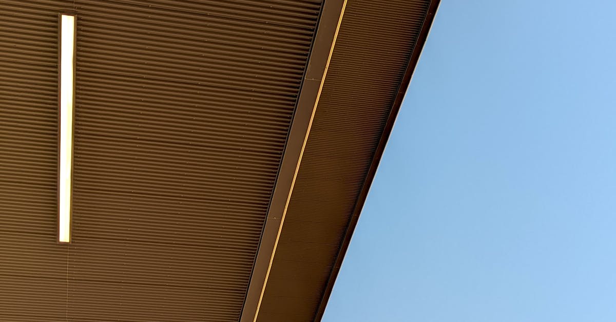 Time-Saving Tips for Quick Upholstery Shampooing in Your Vehicle