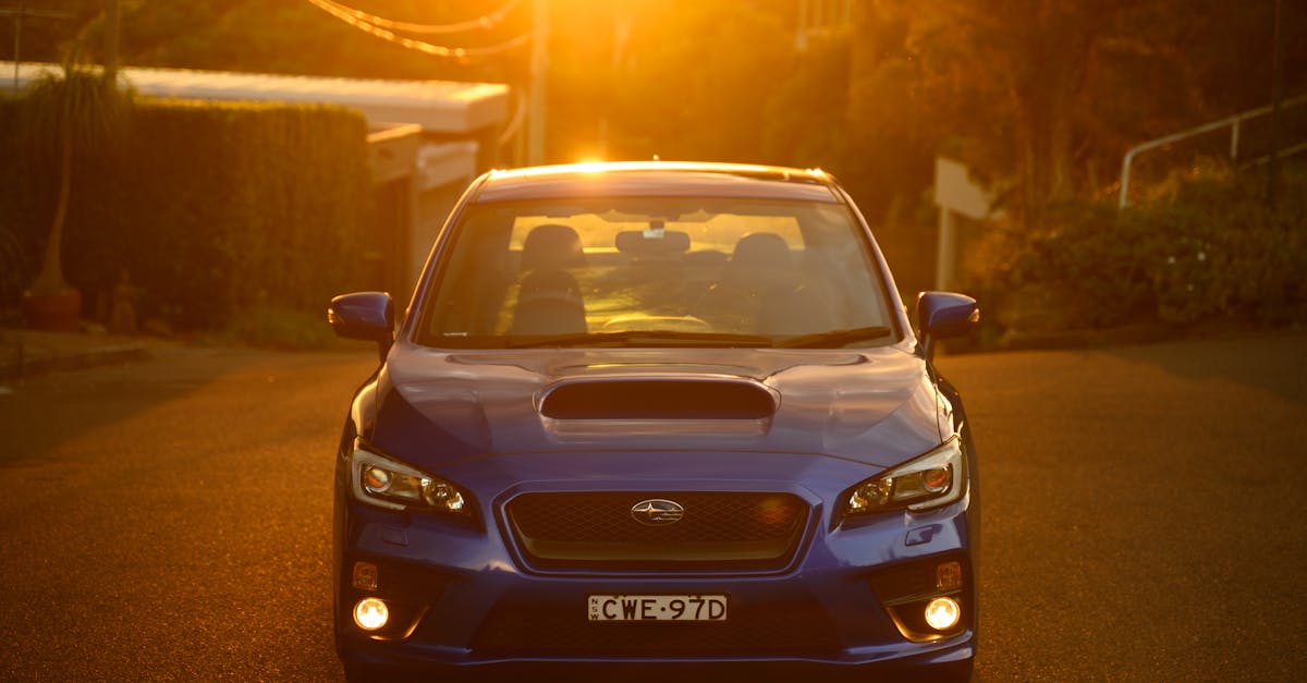 Top-Selling Car Air Fresheners Among Sydney Detailers