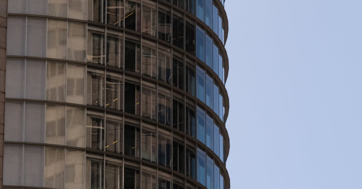 Top-Selling Upholstery Conditioners in the Sydney Market