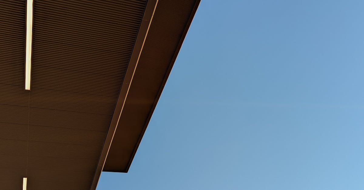 Transforming Your Business Fleet with Expert Interior Detailing