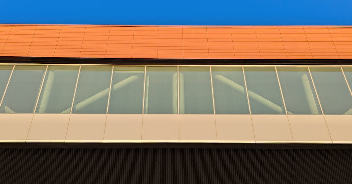 User Reviews of Popular Upholstery Conditioners in Sydney